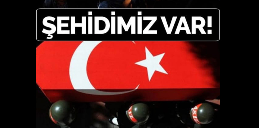 Sehitlerimiz var!